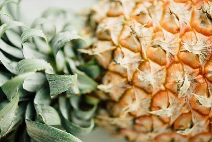 L’incroyable histoire des plantes qui nous nourrissent