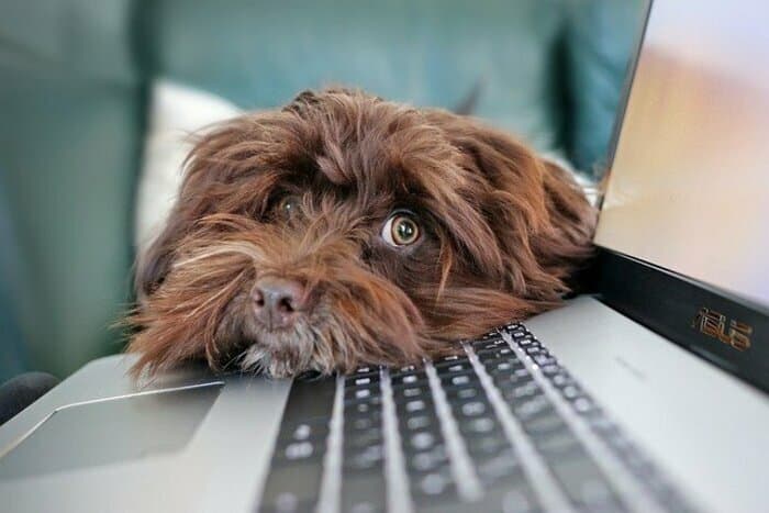 Cours pour seniors | Découverte de l'informatique