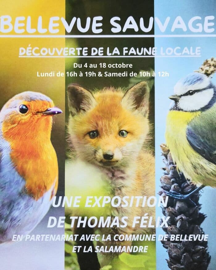 Exposition de photos animalières de Thomas Félix
