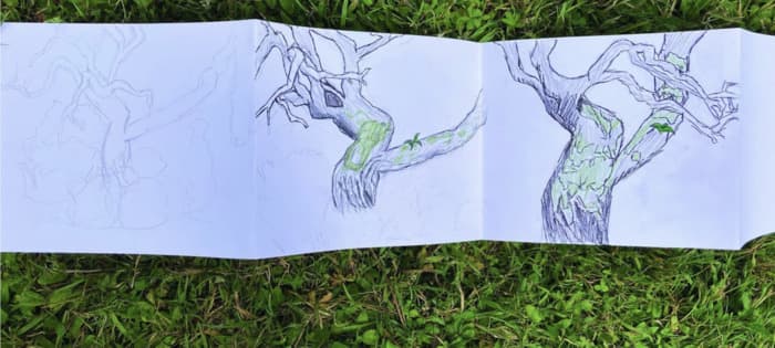 Les arbres du Baron perché