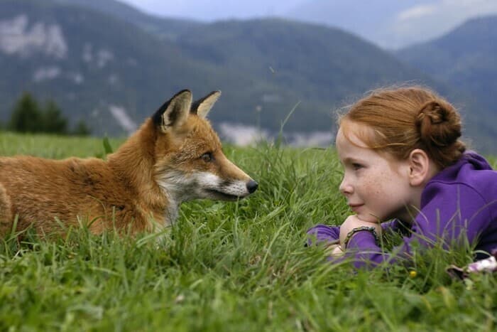 Cycle Ciné-dimanche Kids : Le renard et l'enfant