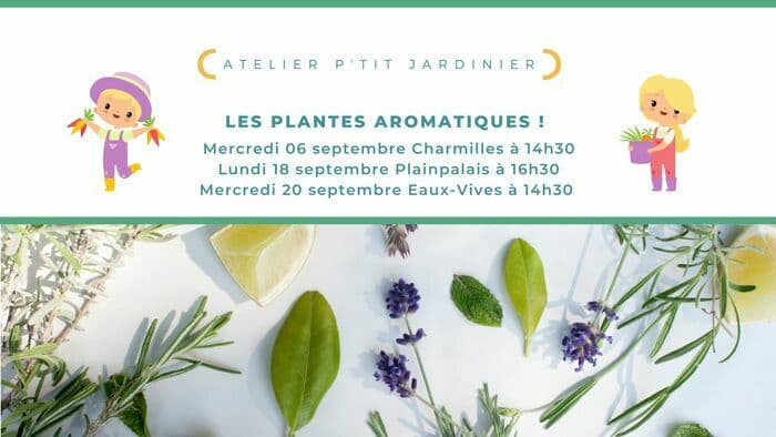 Un voyage multi sensoriel autour des plantes aromatiques, ça vous dit ?