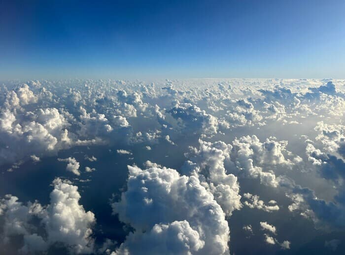 Quincy Flowers & Steffani Jemison - "Flight Theater"