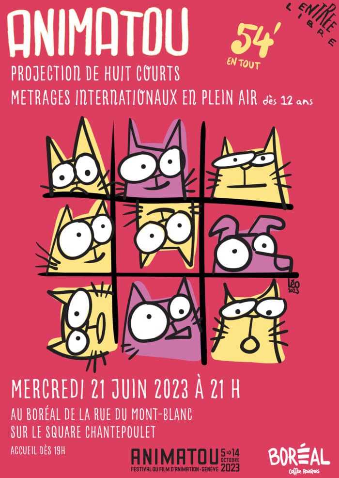 Projection en plein air à Boréal