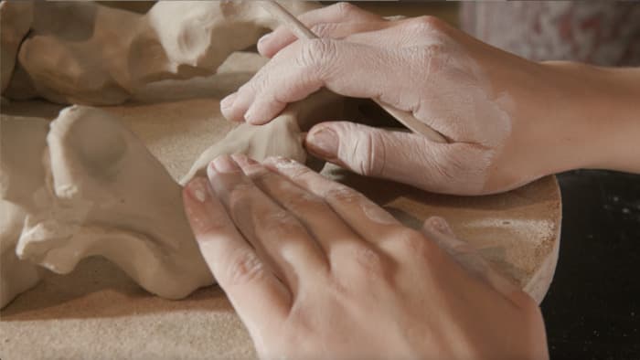 Les mains dans la terre