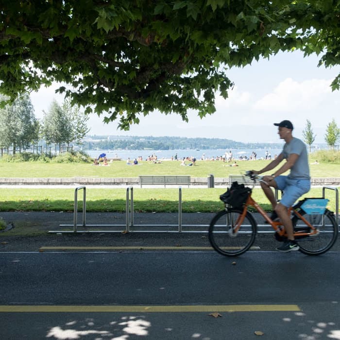 Faire la ville mais ensemble. Aux Arbres Citoyens