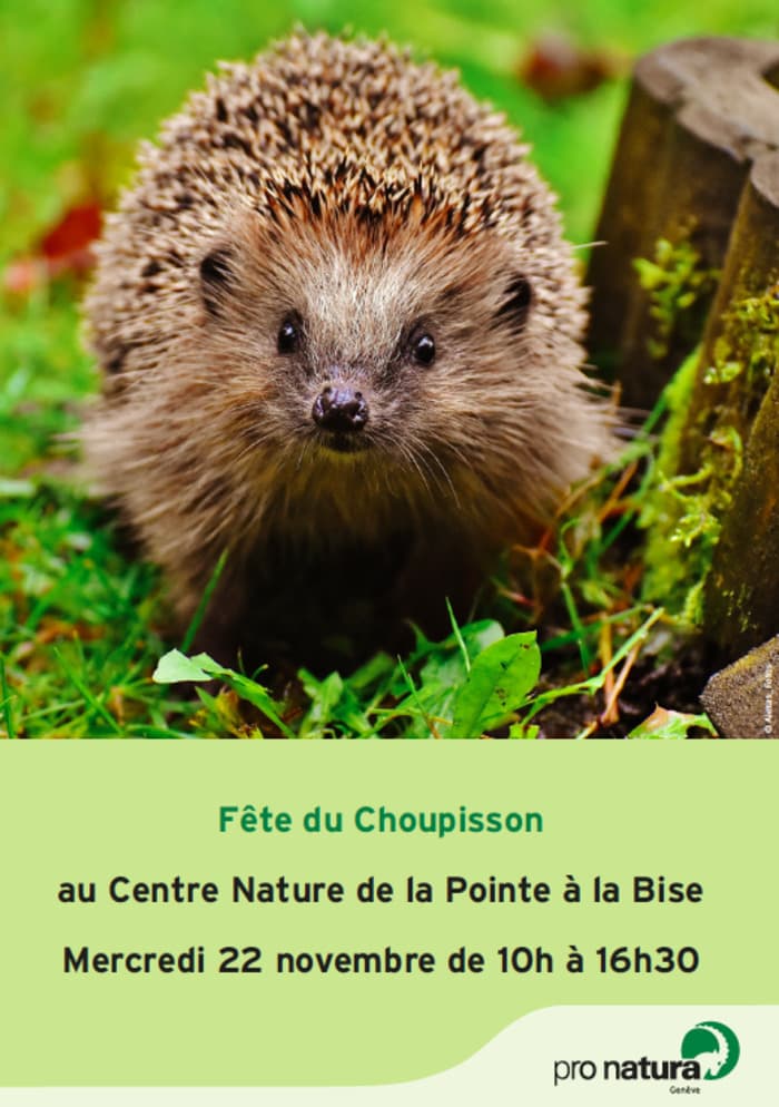 Fête du Choupisson