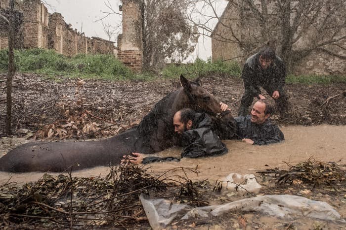 GIFF | PROJECTION | APAGÓN