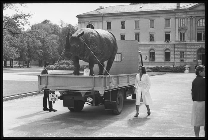 La grande balade des animaux du Muséum
