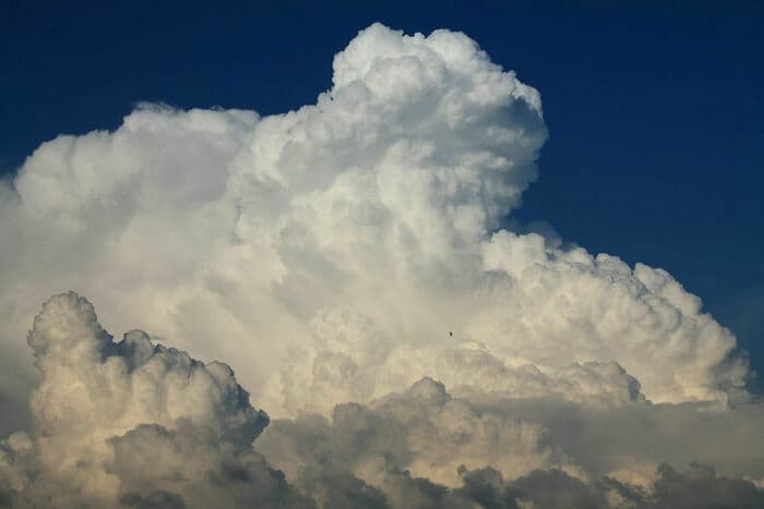 La tête dans les nuages: Pour tout savoir sur les phénomènes météorologiques