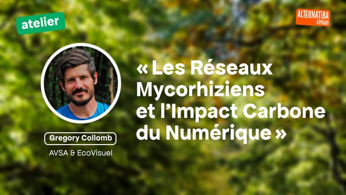 Atelier : "Les Réseaux Mycorhiziens et l'Impact Carbone du Numérique"
