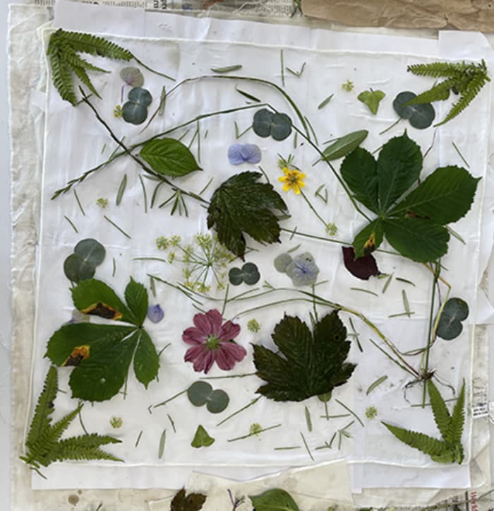 Éco-impression et Impression Lumen - Dessiner avec les plantes et la lumière