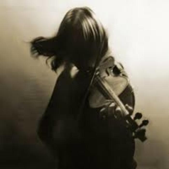 Un violon dans les bois
