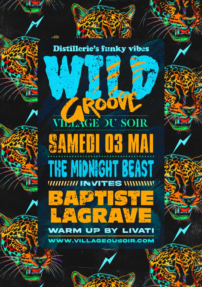 Wild Groove - Baptiste Lagrave