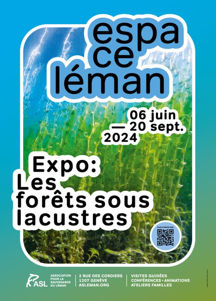 Exposition : Les forêts sous-lacustres
