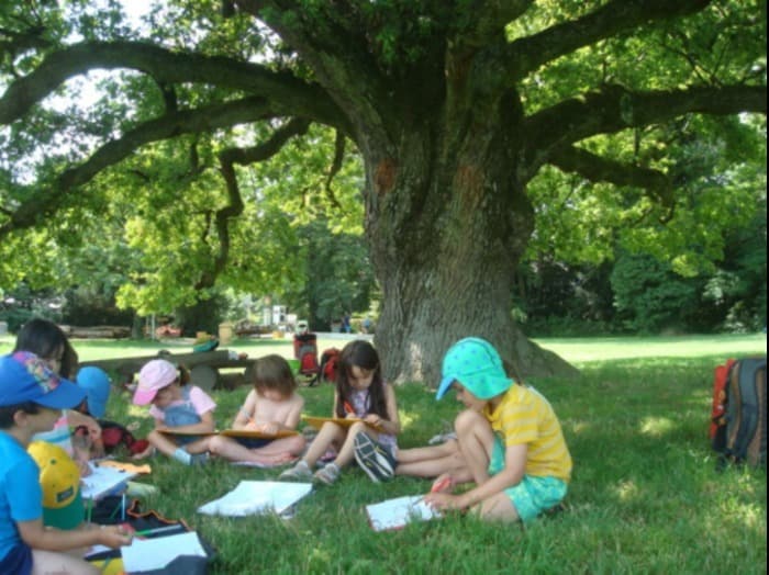 Atelier de sensibilisation à la nature.