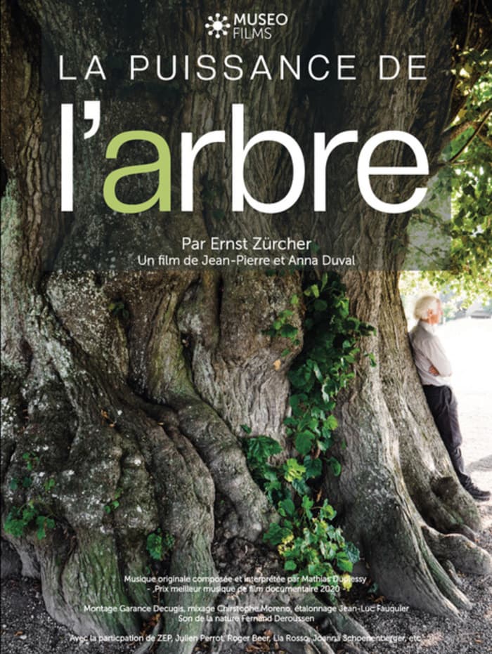 Projection du film « La puissance de l’arbre» par Ernst Zurcher