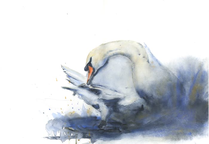 Vernissage de l'exposition "Echos de la nature, regard pictural sur la faune sauvage"