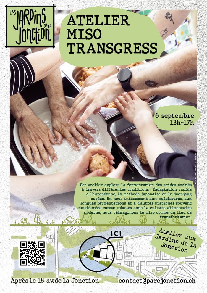 Miso Transgress