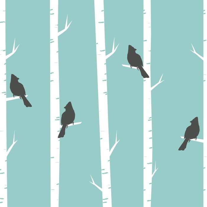 Seniors, s'informer ou se former | (Re)Découvrons la nature ensemble