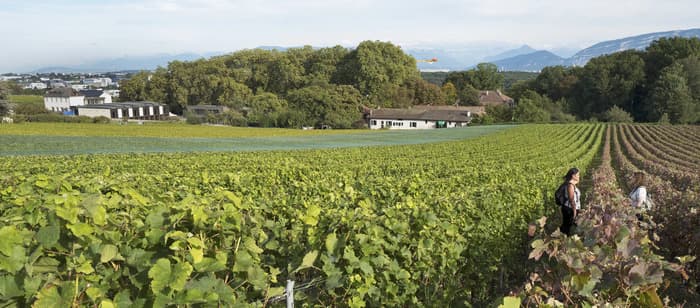 Explore Demain - Promenons-nous dans le village de Satigny !