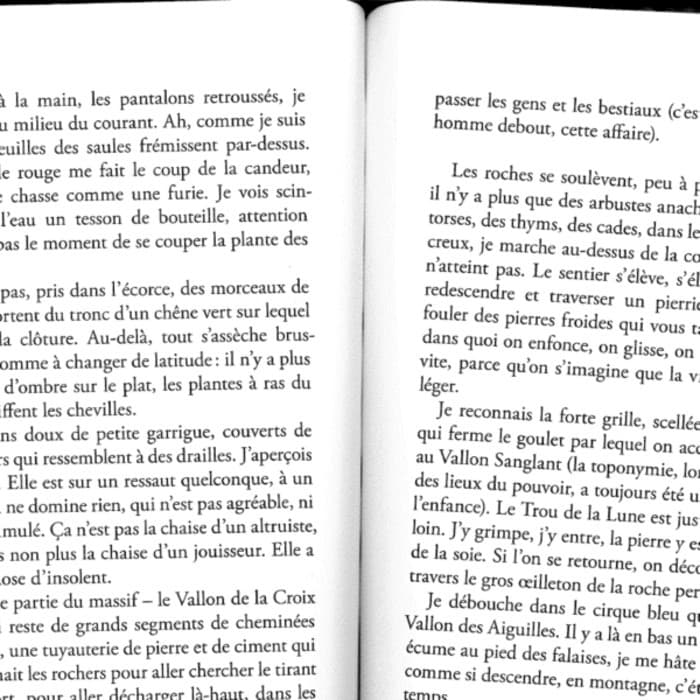 David Bosc, Thi Han Fleuret