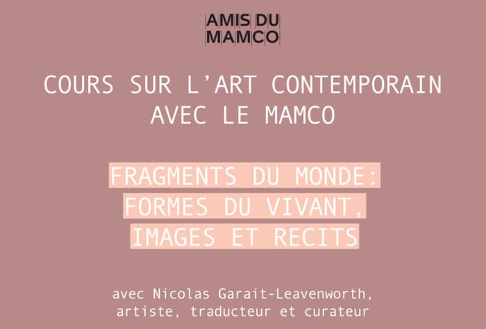 Cours sur l'art contemporain avec le MAMCO