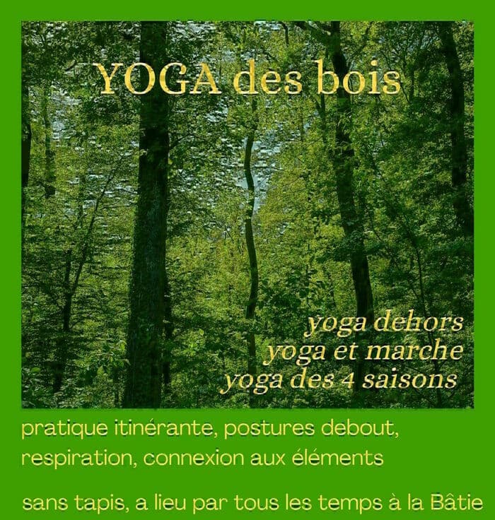 Yoga des bois