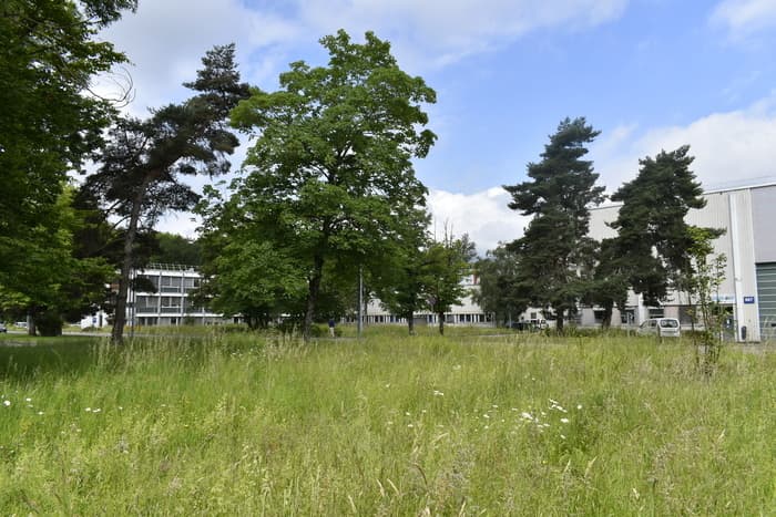 Explorer la biodiversité au CERN
