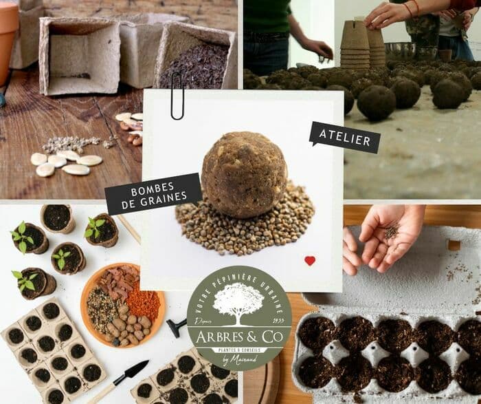 Atelier "Bombes de Graines : Mission Fleurissement"