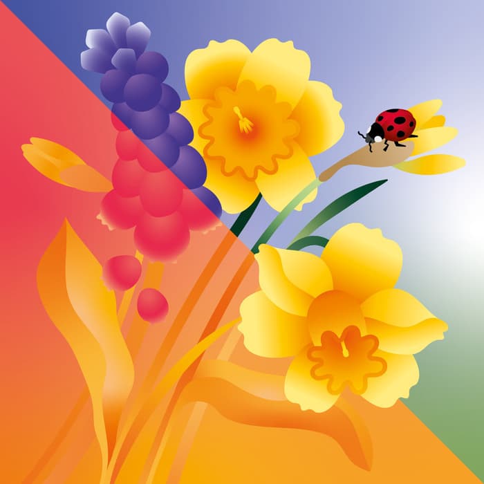 Bourgeons en fête | Fête de printemps