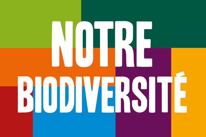 Notre Biodiversité : Balade discussion