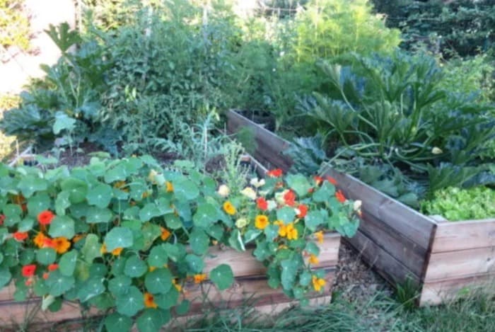 Initiation à la permaculture