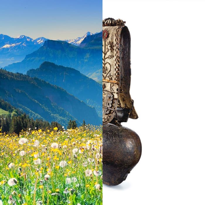 Visite intimiste: Balade sur l’alpe entre saison à l’alpage et défis d’éleveur et éleveuse