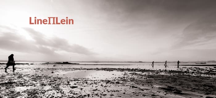 LINEPILEIN