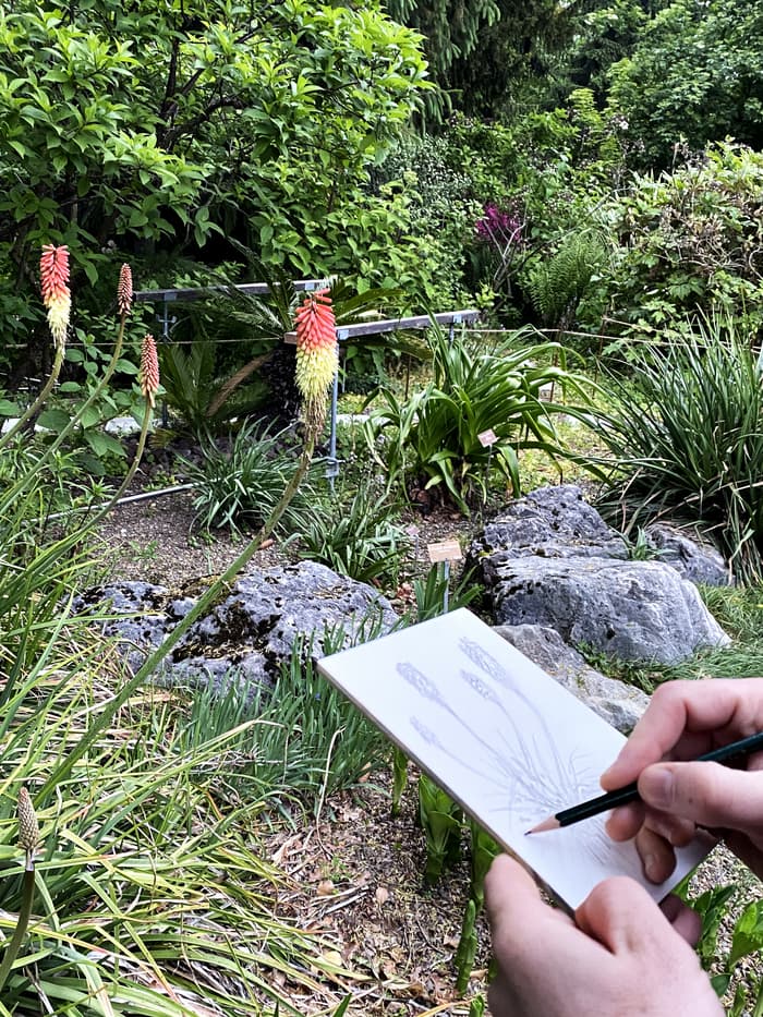 Atelier d'aquarelle et de dessin botanique