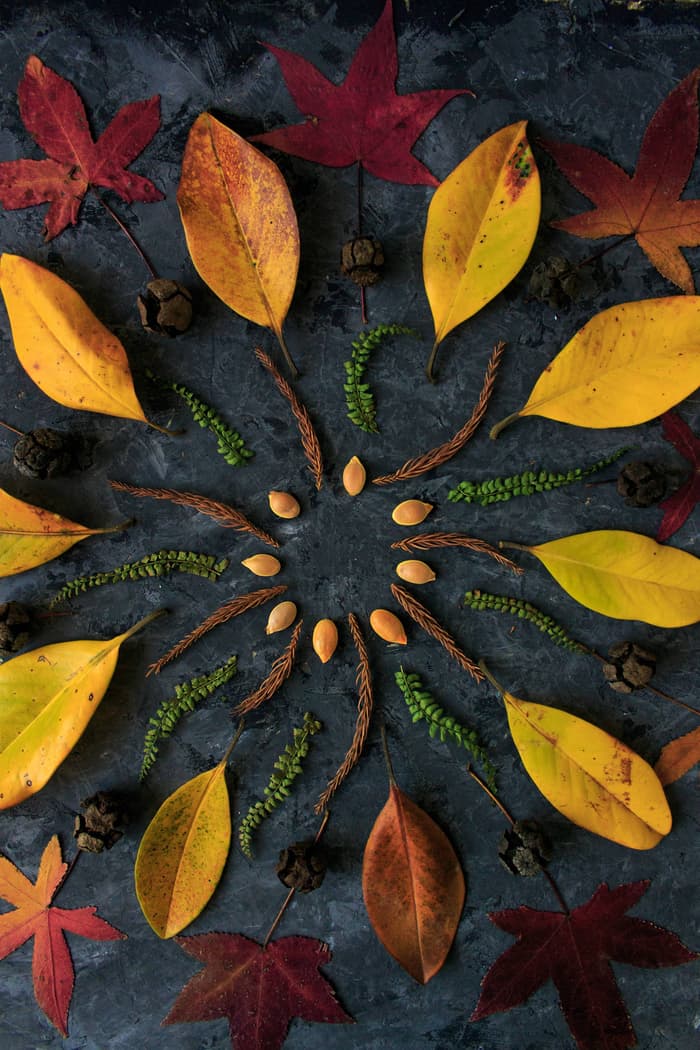 Atelier Land Art