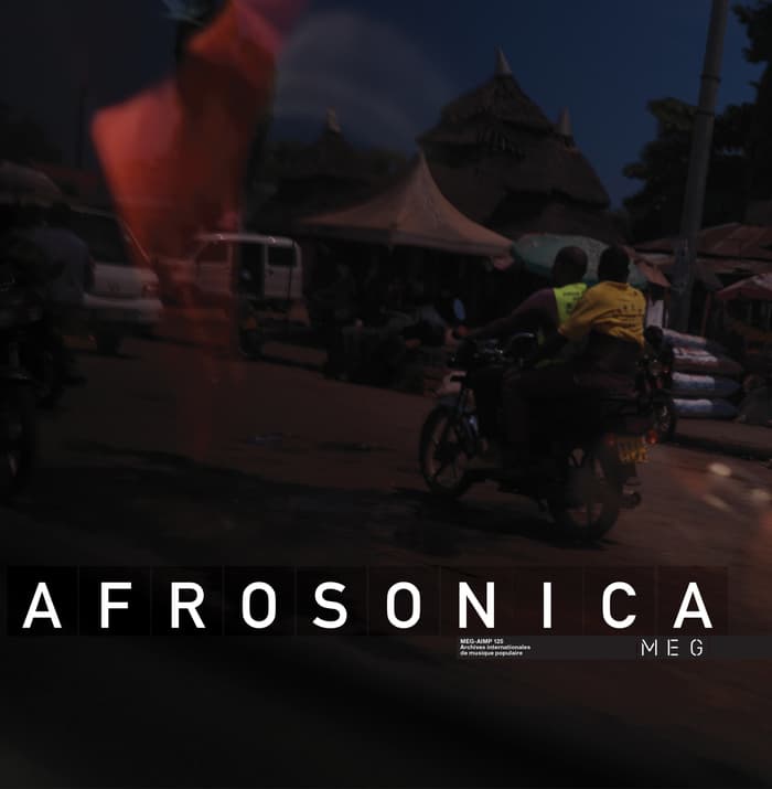 Visite commissaire et invité-e «Afrosonica - Paysages sonores»