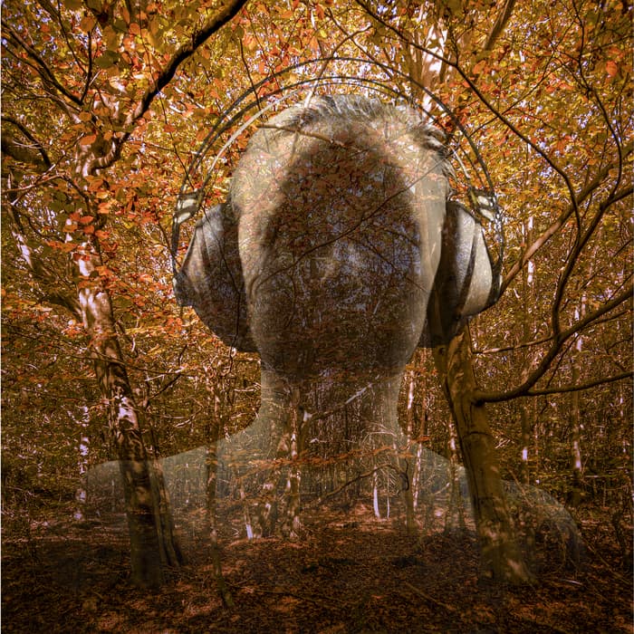 Rêverie sonore de l'équinoxe d'automne