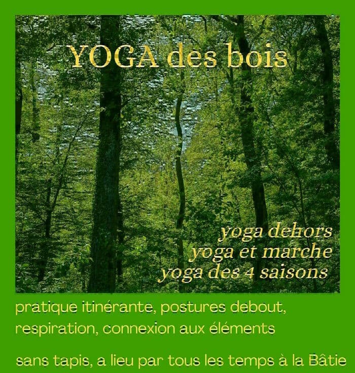 Yoga des bois