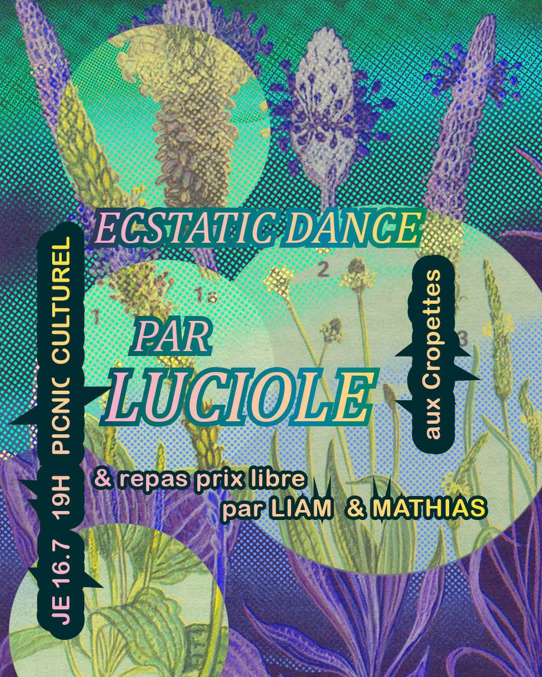 Picnic Culturel avec Luciole – Ecstatic dance et repas Prix Libre